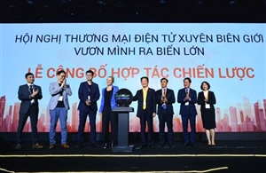 Đưa thương mại điện tử Việt Nam 'vươn ra biển lớn'